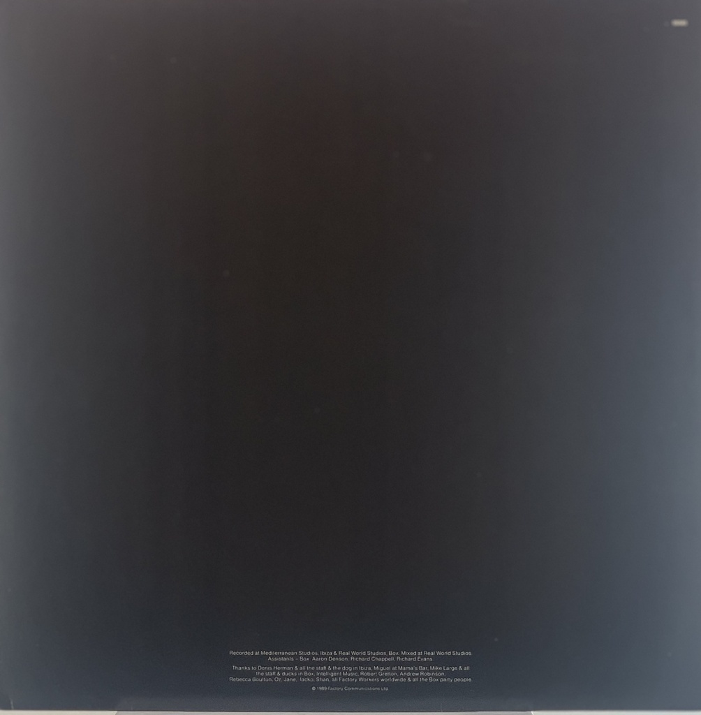 New Order - Technique (LP usado)