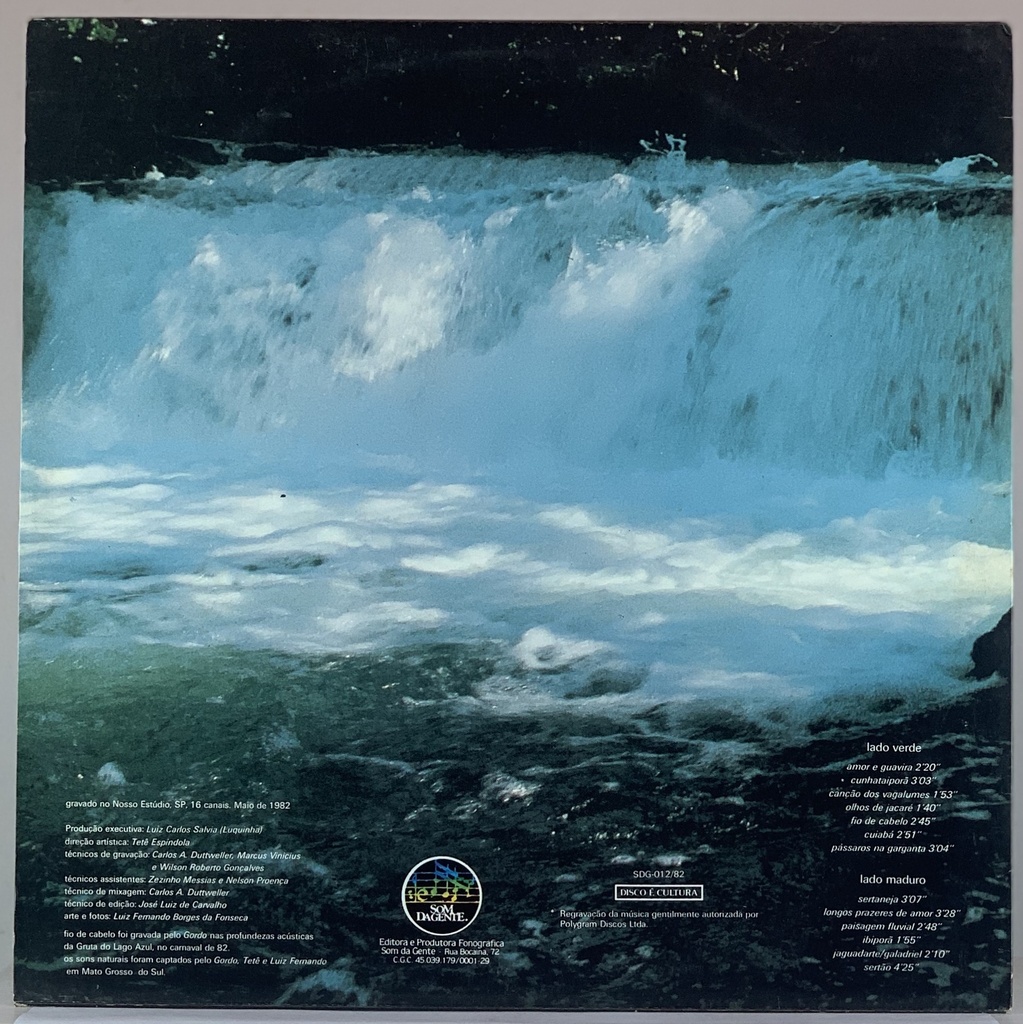 Tetê Espindola - Pássaros na Garganta (LP usado)