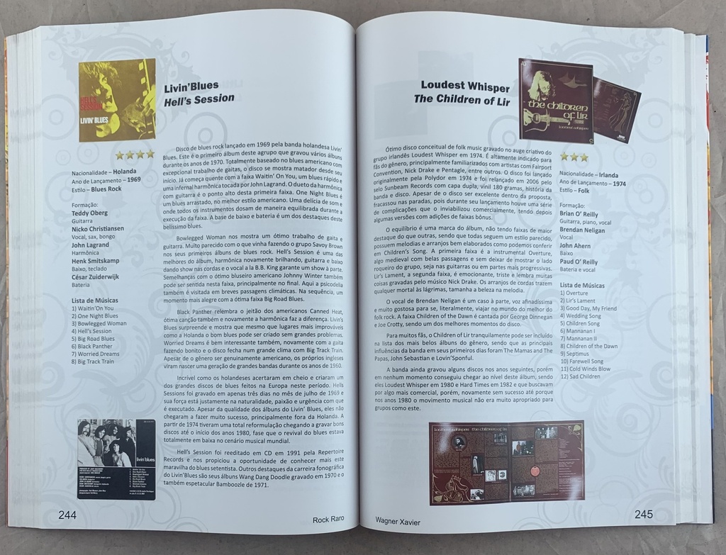 Rock Raro [O Maravilhoso e Desconhecido Mundo do Rock Vol 1 - Wagner Xavier (Livro usado)