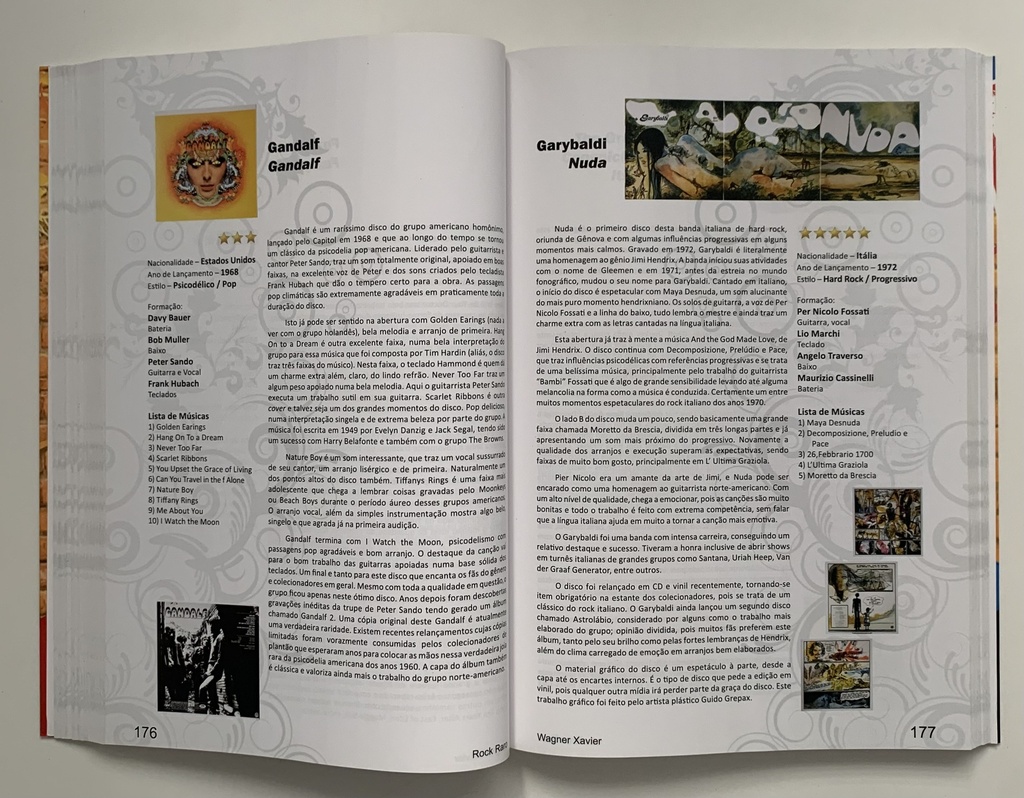Rock Raro [O Maravilhoso e Desconhecido Mundo do Rock Vol 1 - Wagner Xavier (Livro usado)