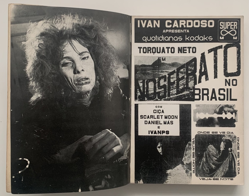 Ivampirismo: O cinema em pânico - Ivan Cardoso/R.F. Luccchetti (Livro usado)