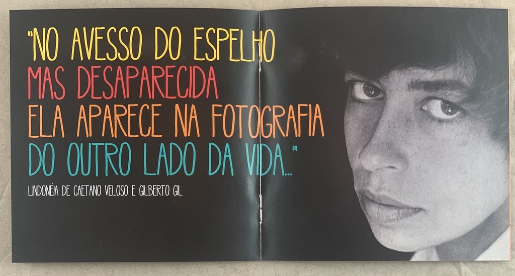 Nara Leão – Nara Tropicália (2CDs usado)