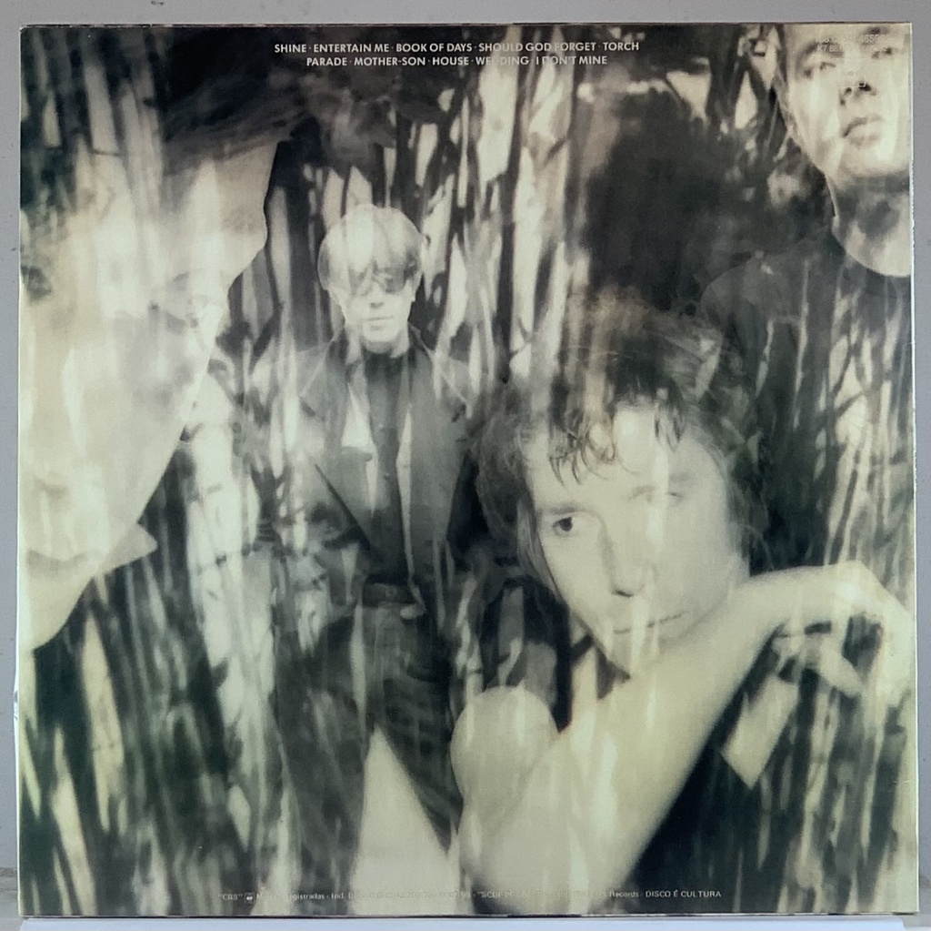 Psychedelic Furs,The – Book of Days (LP usado)