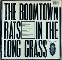 Boomtown Rats,The - In The Long Grass (LP usado)