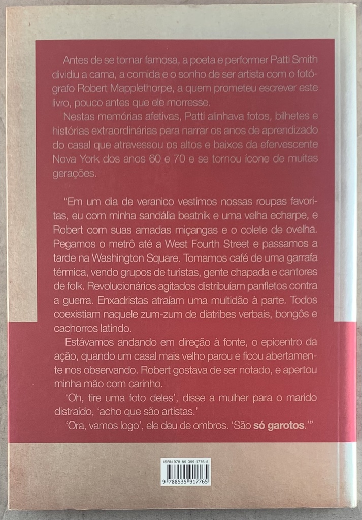 Patty Smith - Só Garotos (Livro usado)