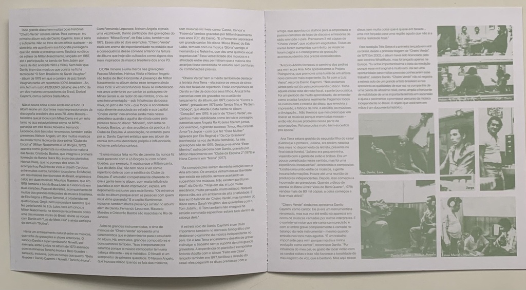 Danilo Caymmi - Cheiro Verde (LP usado)