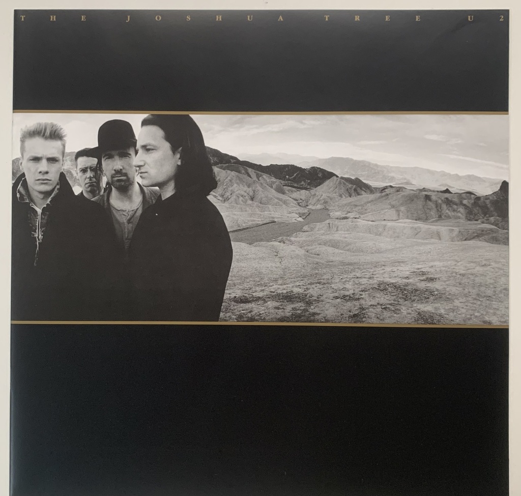 U2 – The Joshua Tree (2LPs usado)