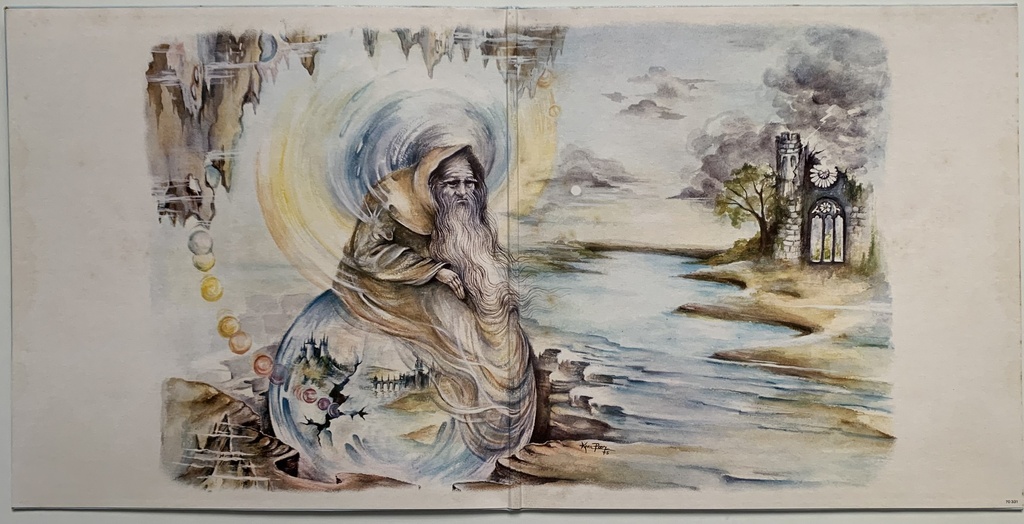 Steve Hackett - Voyage of the Acolyte (LP usado)