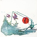 Trace - Birds (LP usado)