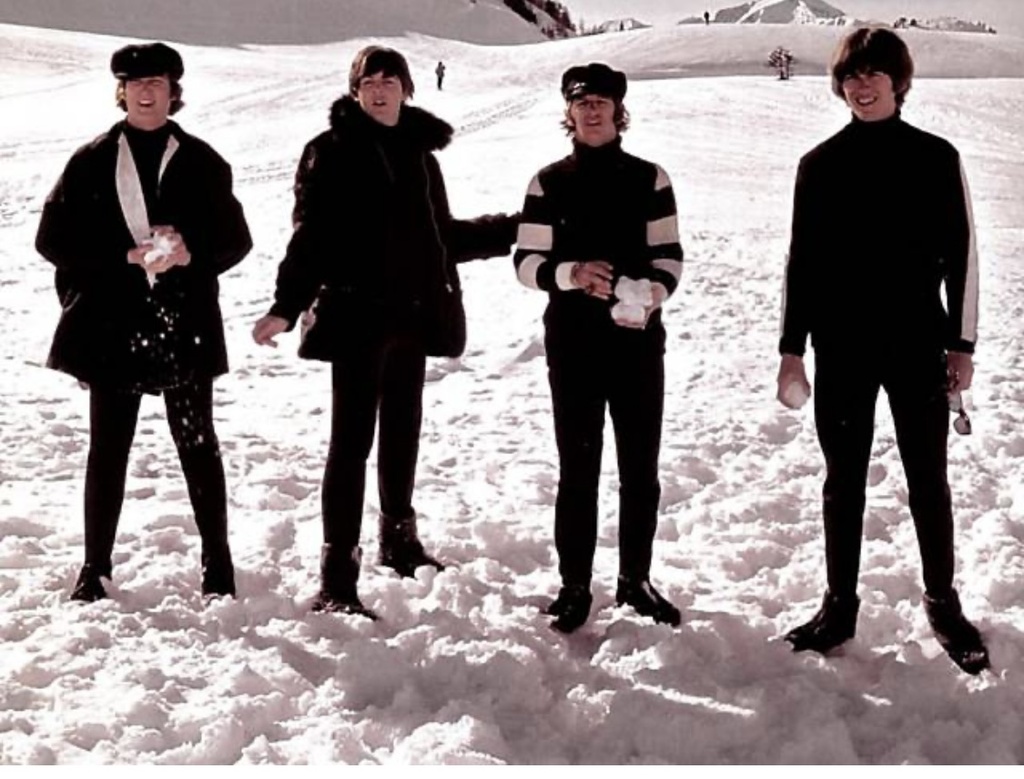 Beatles,The: Historia, Discografia, Fotos e Documentos (Livro caixa semi novo)