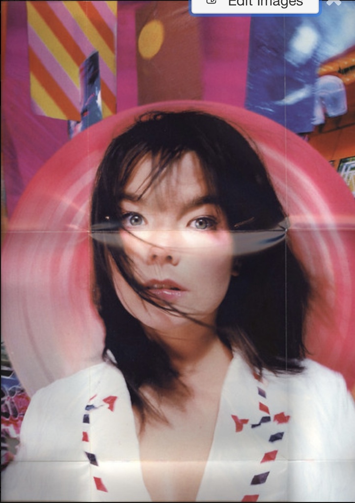 Björk - Post (CD usado)