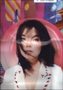 Björk - Post (CD usado)