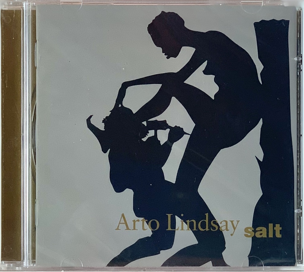 Arto Lyndsay - Salt (CD novo)