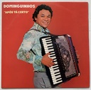 Dominguinhos - Apôs tá Certo (LP usado)