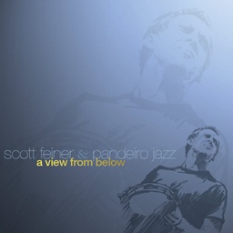 Scott Feiner & Pandeiro Jazz – A View from Below (CD novo)